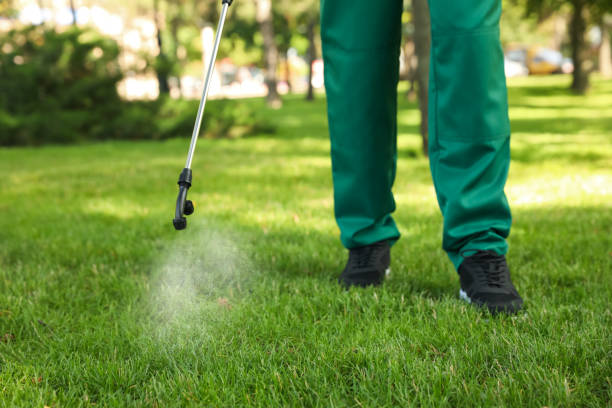 Pest Prevention Services in Austin, TX