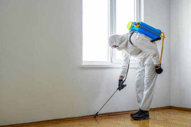 Best Flea Control Services  in Austin, TX