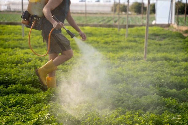 Reliable Austin, TX Pest Control Solutions