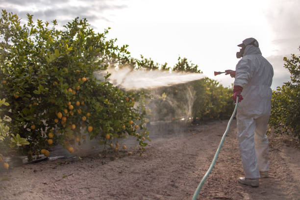 Best Best Pest Control Companies  in Austin, TX