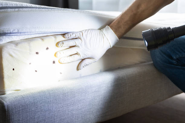 Best Residential Pest Control  in Austin, TX