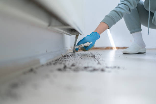 Best Insect Control  in Austin, TX